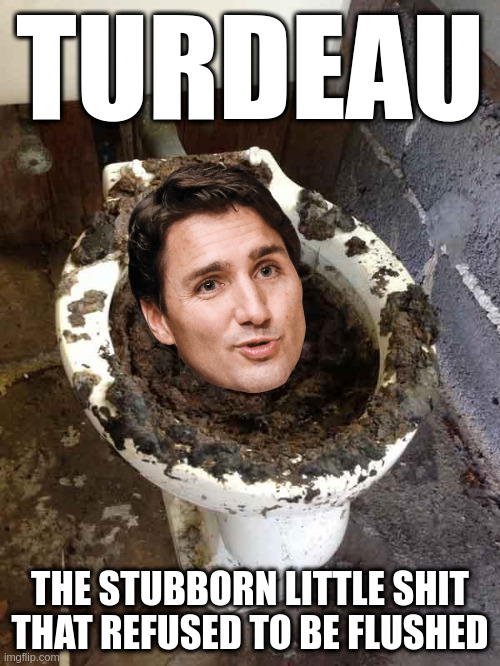 Turdeau | TURDEAU; THE STUBBORN LITTLE SHIT THAT REFUSED TO BE FLUSHED | image tagged in toilet | made w/ Imgflip meme maker