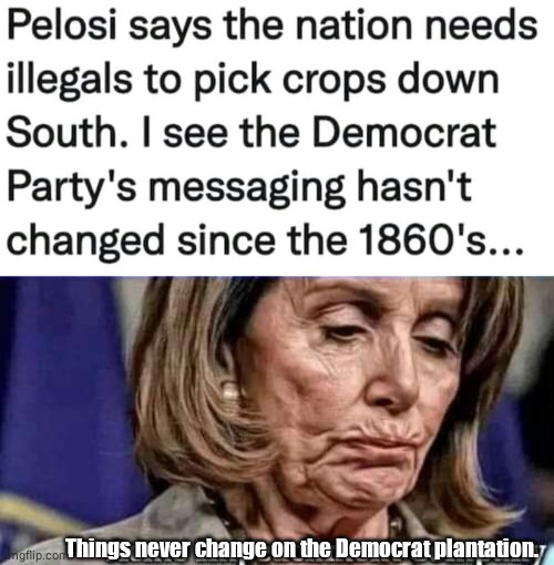 Pelosi Democrat plantation | Things never change on the Democrat plantation. | image tagged in nancy pelosi | made w/ Imgflip meme maker