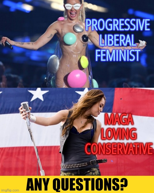 Liberal vs Conservative | PROGRESSIVE LIBERAL FEMINIST; MAGA LOVING CONSERVATIVE; ANY QUESTIONS? | image tagged in funny,memes,liberals,conservatives,politics | made w/ Imgflip meme maker