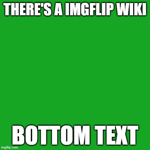 Blank Transparent Square | THERE'S A IMGFLIP WIKI; BOTTOM TEXT | image tagged in memes,blank transparent square | made w/ Imgflip meme maker