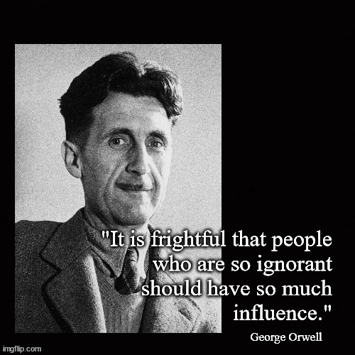 Too much ignorance; too much influence | image tagged in ignorance,influence | made w/ Imgflip meme maker