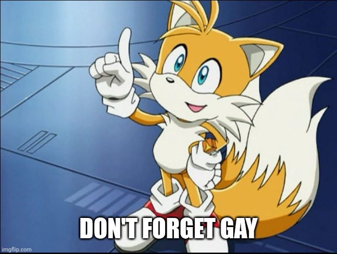 Tails' Kindness | DON'T FORGET GAY | image tagged in tails' kindness | made w/ Imgflip meme maker