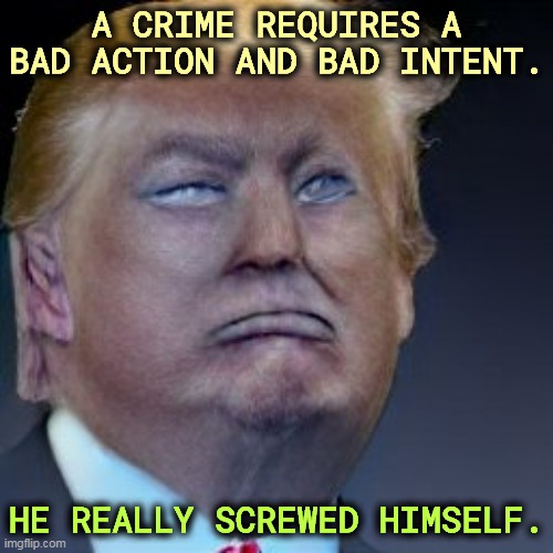 A CRIME REQUIRES A BAD ACTION AND BAD INTENT. HE REALLY SCREWED HIMSELF. | image tagged in crime,action,intent,trump | made w/ Imgflip meme maker
