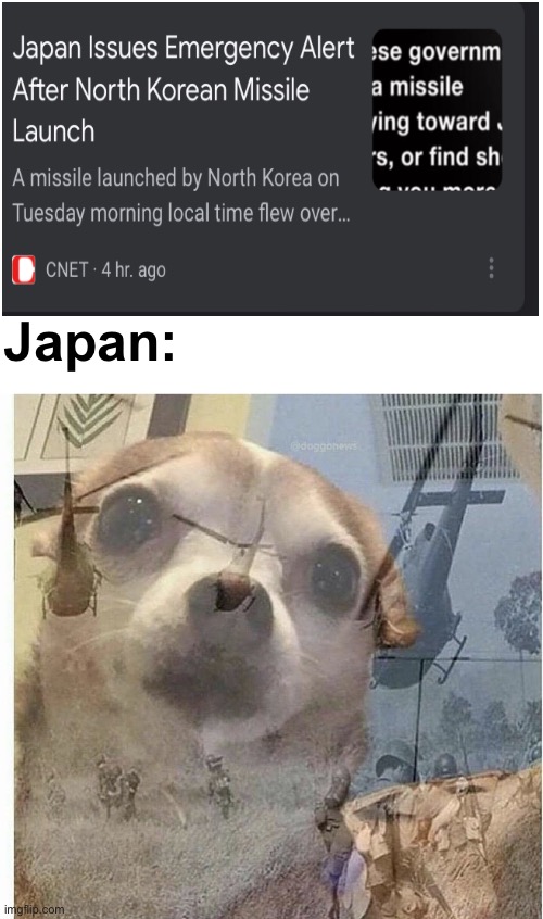 WWII Intensifies* | Japan: | image tagged in ptsd chihuahua,ww2,japan,funny,memes,funny memes | made w/ Imgflip meme maker