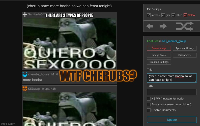 WTF CHERUBS? | made w/ Imgflip meme maker