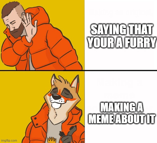 Furry Drake | SAYING THAT YOUR A FURRY; MAKING A MEME ABOUT IT | image tagged in furry drake,funny,memes,furry,true story | made w/ Imgflip meme maker