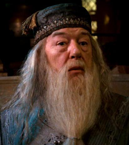 Dumbledore Blank Meme Template