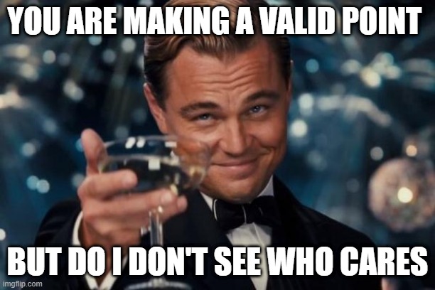 Leonardo Dicaprio Cheers | YOU ARE MAKING A VALID POINT; BUT DO I DON'T SEE WHO CARES | image tagged in memes,leonardo dicaprio cheers | made w/ Imgflip meme maker