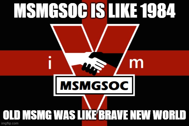 MSMGSOC flag | MSMGSOC IS LIKE 1984; OLD MSMG WAS LIKE BRAVE NEW WORLD | image tagged in msmgsoc flag | made w/ Imgflip meme maker