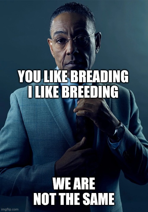 We are not the same | YOU LIKE BREADING
I LIKE BREEDING WE ARE NOT THE SAME | image tagged in we are not the same | made w/ Imgflip meme maker