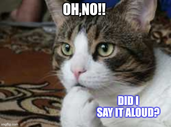 Ponder cat | OH,NO!! DID I SAY IT ALOUD? | image tagged in ponder cat | made w/ Imgflip meme maker