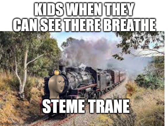 smort title | KIDS WHEN THEY CAN SEE THERE BREATHE; STEME TRANE | image tagged in i like trains,train,trains,transgender,mario bros views | made w/ Imgflip meme maker