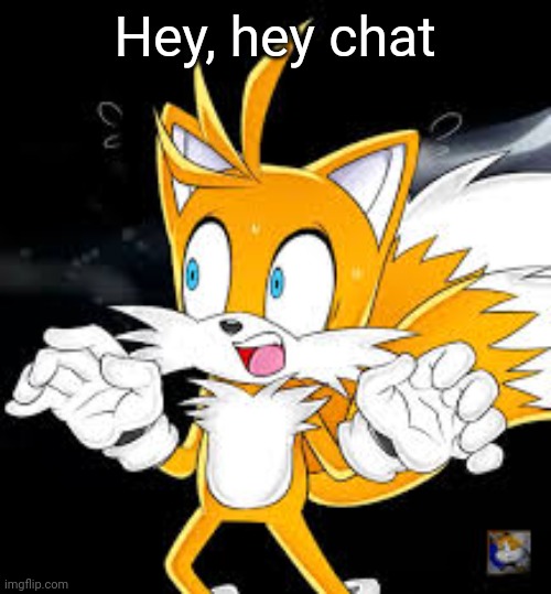 Hey, hey chat | image tagged in tails shocked | made w/ Imgflip meme maker