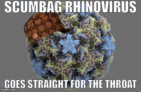 SCUMBAG RHINOVIRUS GOES STRAIGHT FOR THE THROAT | image tagged in scumbag | made w/ Imgflip meme maker