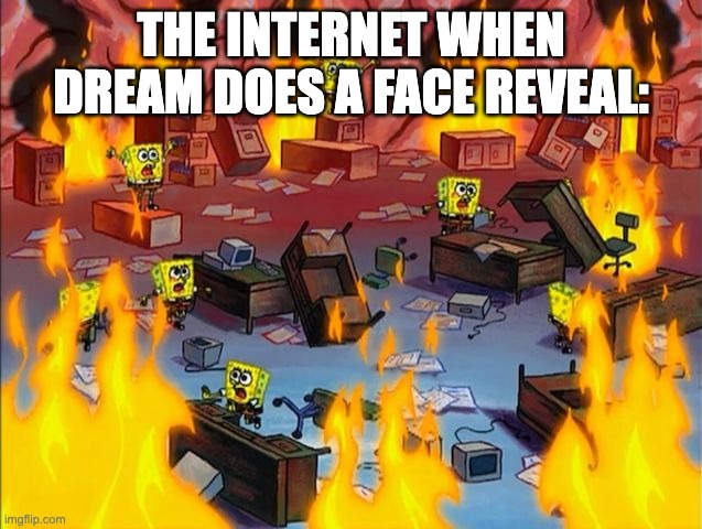 spongebob fire | THE INTERNET WHEN DREAM DOES A FACE REVEAL: | image tagged in spongebob fire | made w/ Imgflip meme maker