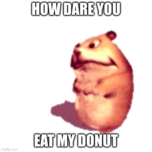 Why angry chomik is angry | HOW DARE YOU; EAT MY DONUT | image tagged in angry chomik | made w/ Imgflip meme maker