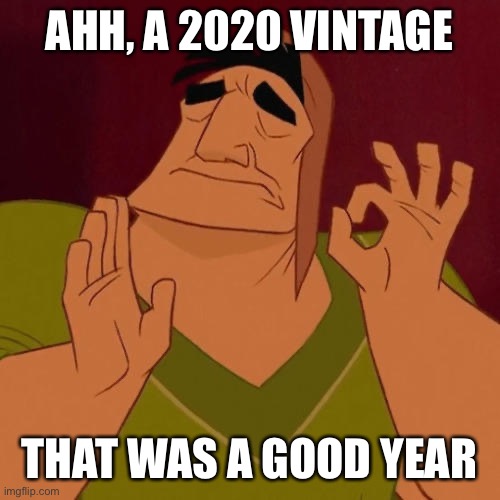 When X just right | AHH, A 2020 VINTAGE THAT WAS A GOOD YEAR | image tagged in when x just right | made w/ Imgflip meme maker