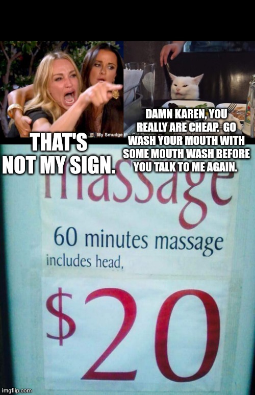 DAMN KAREN, YOU REALLY ARE CHEAP.  GO WASH YOUR MOUTH WITH SOME MOUTH WASH BEFORE YOU TALK TO ME AGAIN. THAT'S NOT MY SIGN. | image tagged in smudge the cat,woman yelling at cat | made w/ Imgflip meme maker