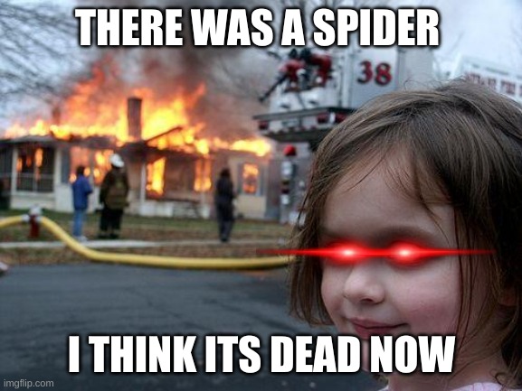 a load of people are like this | THERE WAS A SPIDER; I THINK ITS DEAD NOW | image tagged in memes,disaster girl,spider | made w/ Imgflip meme maker
