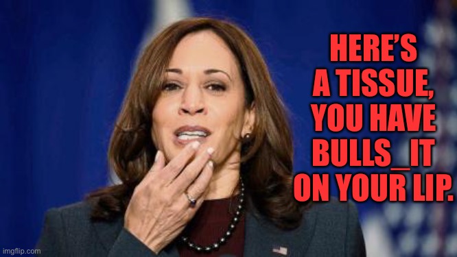 Bullshit on your lip | HERE’S A TISSUE, YOU HAVE BULLS_IT ON YOUR LIP. | image tagged in kamala harris,tissue,bull_hit,on your lip,politics | made w/ Imgflip meme maker