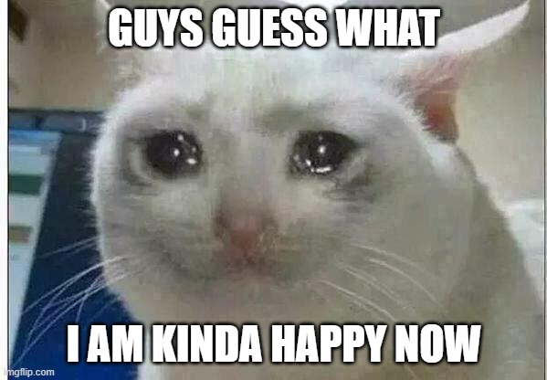 crying cat | GUYS GUESS WHAT; I AM KINDA HAPPY NOW | image tagged in crying cat,i love this girl,girlfriend,love,happy,unrelatable | made w/ Imgflip meme maker