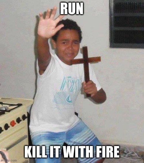 kid with cross | RUN KILL IT WITH FIRE | image tagged in kid with cross | made w/ Imgflip meme maker