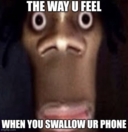Quandale Phone | THE WAY U FEEL; WHEN YOU SWALLOW UR PHONE | image tagged in quandale dingle | made w/ Imgflip meme maker