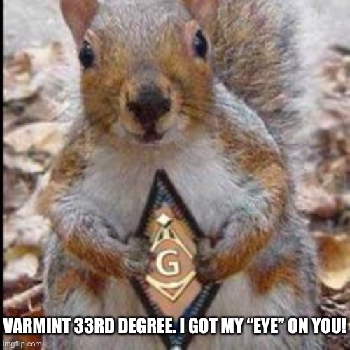 Mason Squirrel | VARMINT 33RD DEGREE. I GOT MY “EYE” ON YOU! | image tagged in mason squirrel | made w/ Imgflip meme maker