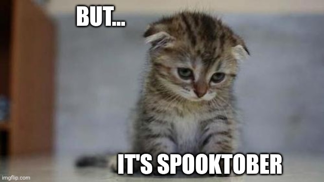 Sad kitten | BUT... IT'S SPOOKTOBER | image tagged in sad kitten | made w/ Imgflip meme maker