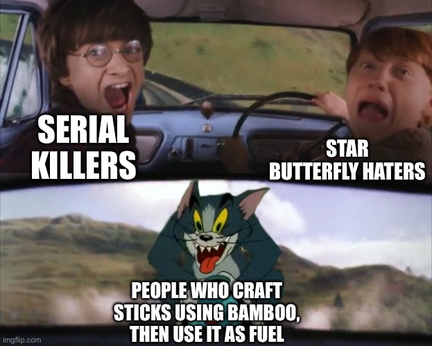WHO EVEN DOES THAT?! | STAR BUTTERFLY HATERS; SERIAL KILLERS; PEOPLE WHO CRAFT STICKS USING BAMBOO, THEN USE IT AS FUEL | image tagged in tom chasing harry and ron weasly,memes,minecraft,minecraft memes,funny,gaming | made w/ Imgflip meme maker