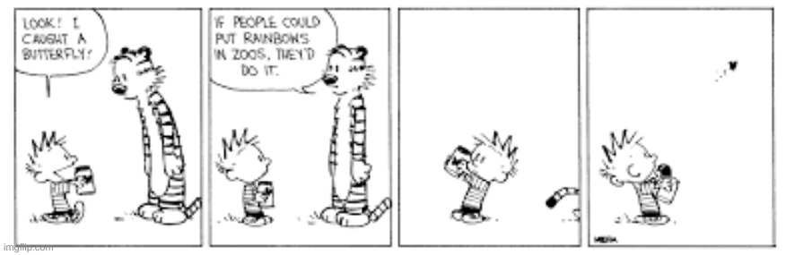 Calvin and Hobbes #4 | image tagged in calvin and hobbes,zoo | made w/ Imgflip meme maker