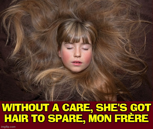 Some Sleep in Heavenly Peace She Sleeps in Hair Heaven | WITHOUT A CARE, SHE'S GOT
HAIR TO SPARE, MON FRÈRE | image tagged in vince vance,hair,sleeping,girls,memes,big hair | made w/ Imgflip meme maker