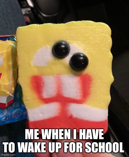 SpongeBob popsicle school | ME WHEN I HAVE TO WAKE UP FOR SCHOOL | image tagged in spongebob popsicle | made w/ Imgflip meme maker