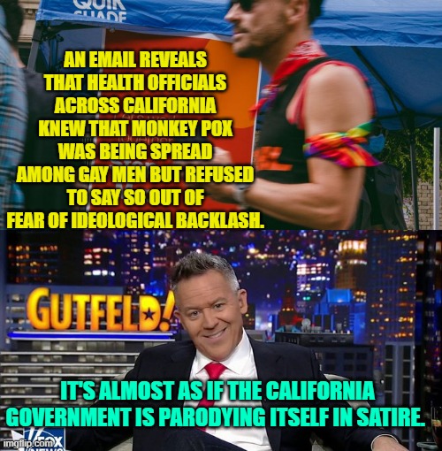 Yesssssssss . . . because NOBODY could EVER figure this one out for themselves. | AN EMAIL REVEALS THAT HEALTH OFFICIALS ACROSS CALIFORNIA KNEW THAT MONKEY POX WAS BEING SPREAD AMONG GAY MEN BUT REFUSED TO SAY SO OUT OF FEAR OF IDEOLOGICAL BACKLASH. IT'S ALMOST AS IF THE CALIFORNIA GOVERNMENT IS PARODYING ITSELF IN SATIRE. | image tagged in sheesh | made w/ Imgflip meme maker