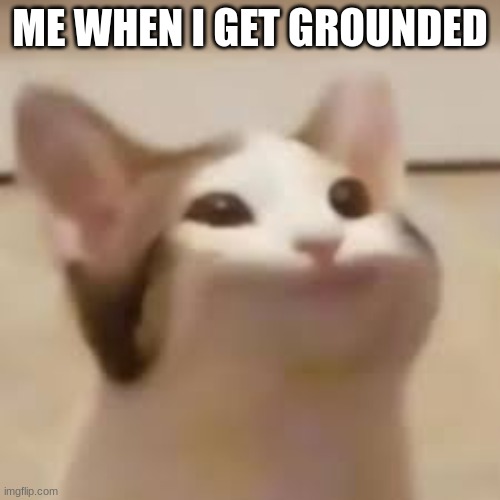 Popcat | ME WHEN I GET GROUNDED | image tagged in pop tarts | made w/ Imgflip meme maker