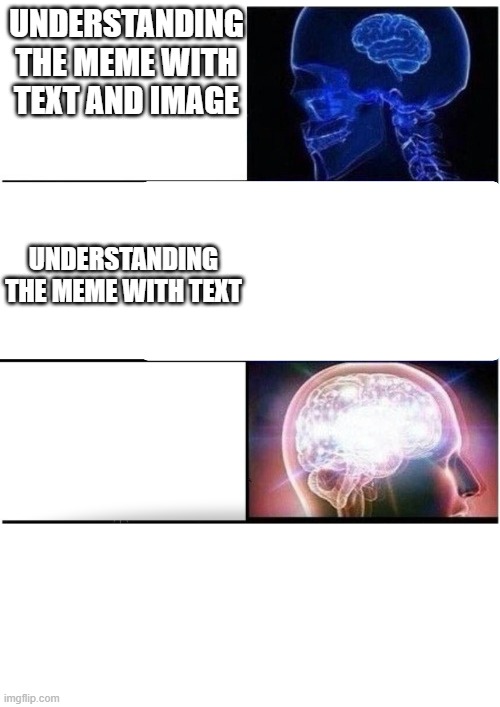 The understanding | UNDERSTANDING THE MEME WITH TEXT AND IMAGE; UNDERSTANDING THE MEME WITH TEXT | image tagged in memes,fun,expanding brain | made w/ Imgflip meme maker