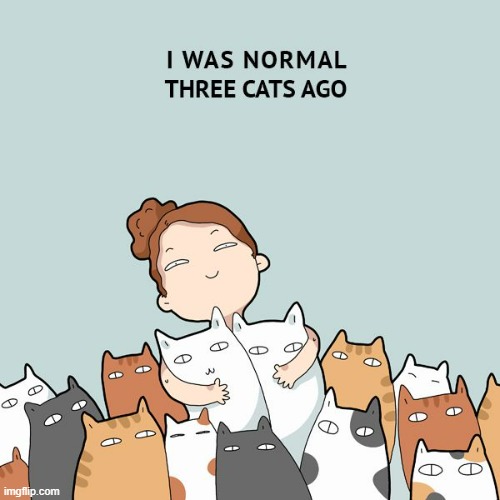 A Cat Lady's Way Of Thinking | image tagged in memes,comics,cat lady,normal,cats,ago | made w/ Imgflip meme maker