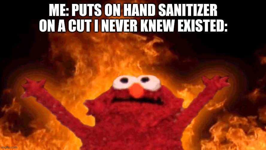 Elmo Is Sad | ME: PUTS ON HAND SANITIZER
ON A CUT I NEVER KNEW EXISTED: | image tagged in elmo fire | made w/ Imgflip meme maker