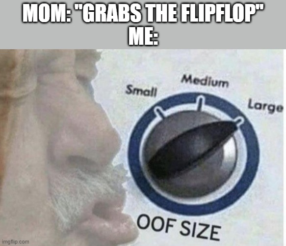 ow owow owow owow owow owow owow owow owow owow owow owow owow ow | MOM: "GRABS THE FLIPFLOP"
ME: | image tagged in oof size large | made w/ Imgflip meme maker