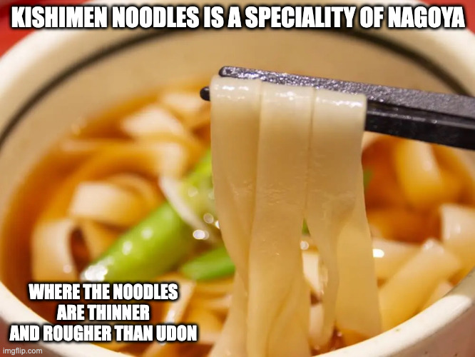 Kishimen | KISHIMEN NOODLES IS A SPECIALITY OF NAGOYA; WHERE THE NOODLES ARE THINNER AND ROUGHER THAN UDON | image tagged in food,noodles,memes | made w/ Imgflip meme maker