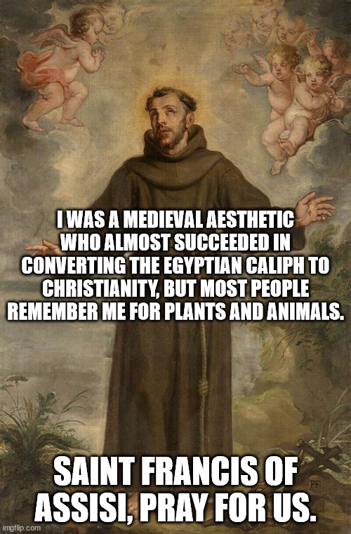Saint Francis of Assisi | I WAS A MEDIEVAL AESTHETIC WHO ALMOST SUCCEEDED IN CONVERTING THE EGYPTIAN CALIPH TO CHRISTIANITY, BUT MOST PEOPLE REMEMBER ME FOR PLANTS AND ANIMALS. SAINT FRANCIS OF ASSISI, PRAY FOR US. | image tagged in catholicism,catholic church | made w/ Imgflip meme maker