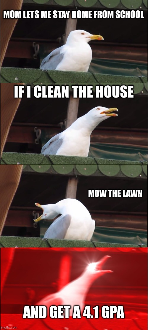 I'll just go to school. | MOM LETS ME STAY HOME FROM SCHOOL; IF I CLEAN THE HOUSE; MOW THE LAWN; AND GET A 4.1 GPA | image tagged in memes,inhaling seagull,funny,funny memes,fun | made w/ Imgflip meme maker