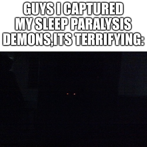 Terrifying—1 | GUYS I CAPTURED MY SLEEP PARALYSIS DEMONS,ITS TERRIFYING: | image tagged in sleep paralysis,demon | made w/ Imgflip meme maker