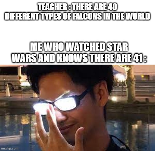 Anime Glasses Flash | TEACHER : THERE ARE 40 DIFFERENT TYPES OF FALCONS IN THE WORLD; ME WHO WATCHED STAR WARS AND KNOWS THERE ARE 41 : | image tagged in anime glasses flash | made w/ Imgflip meme maker