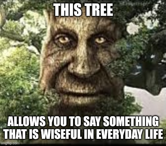 Wise mytical tree | THIS TREE; ALLOWS YOU TO SAY SOMETHING THAT IS WISEFUL IN EVERYDAY LIFE | image tagged in wise mytical tree,memes,the more you know,fun fact | made w/ Imgflip meme maker