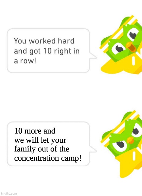 Duolingo 10 in a Row | 10 more and we will let your family out of the concentration camp! | image tagged in duolingo 10 in a row | made w/ Imgflip meme maker