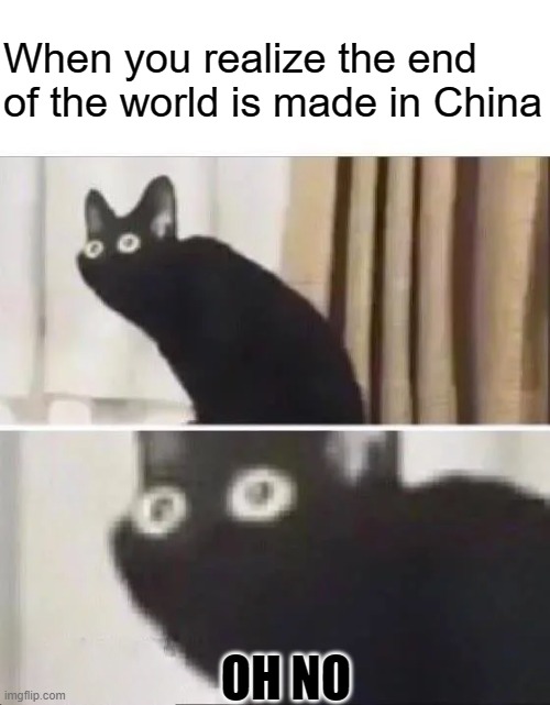 AHHHHHHHHHHHHHHHHHHHHHHHHHHHHHHHHH |  When you realize the end of the world is made in China; OH NO | image tagged in oh no black cat | made w/ Imgflip meme maker