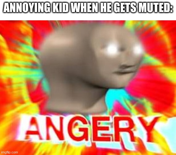 ANGRY GRRR SOUNDS RAGE | ANNOYING KID WHEN HE GETS MUTED: | image tagged in surreal angery | made w/ Imgflip meme maker