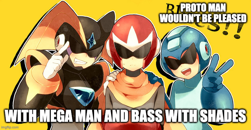Mega Man and Bass WIth Shields | PROTO MAN WOULDN'T BE PLEASED; WITH MEGA MAN AND BASS WITH SHADES | image tagged in megaman,protoman,bass,memes | made w/ Imgflip meme maker