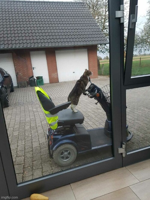 Caption this | made w/ Imgflip meme maker